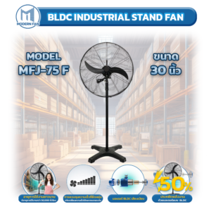 BLDC INDUSTRIAL STAND FAN 30 Ins